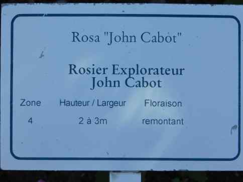 Rosier explo John Cabot-1